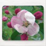 Wild Rose Mousepad