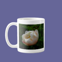 Wild Rose mugs