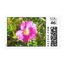 Wild Rose Postage