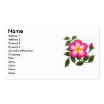 Wild Rose Profile Card Business Card