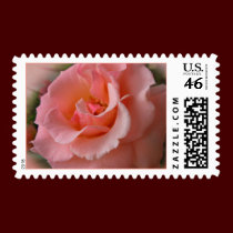 Wild Rose Stamps Peach Flowers Postage Stamps stamps