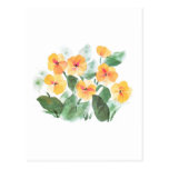 Wild Rose Yellow Post Cards