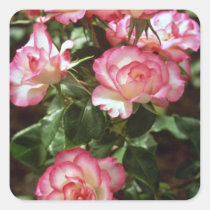 Wild roses  flowers stickers