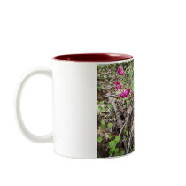 wild roses mugs