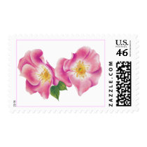 Wild Roses Stamp stamps