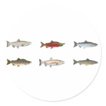 Wild Salmon stickers