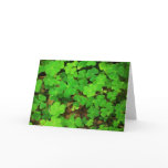 Wild Shamrocks Cards