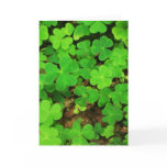 Wild Shamrocks Card