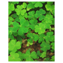 Wild Shamrocks flyers by catsirish Wild Shamrocks flyers