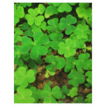 Wild Shamrocks Full Color Flyer