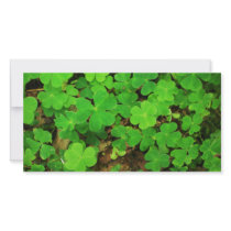 Wild Shamrocks Picture Card