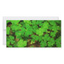 Wild Shamrocks Picture Card