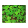 Wild Shamrocks Postcards