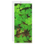 Wild Shamrocks Rack Card