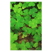 Wild Shamrocks stationery by catsirish Wild Shamrocks stationery