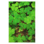 Wild Shamrocks Stationery Paper