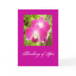 greetings, any event, occasion
