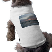 Wild Sky Dog Outfit pet clothing by ValeriesGallery Wild Sky Dog Outfit pet clothing