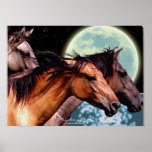 Wild Spanish Mustang Horses Fantasy Art Poster