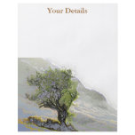 WILD SPIRIT TREE flyers