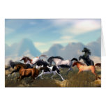 Wild Spirits Cards