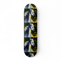 Wild Stallion Custom Skate Board