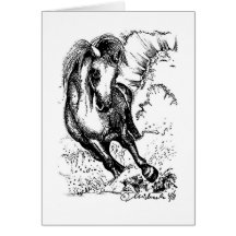 Wild Stallion Greeting Cards