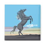 Wild Stallion Refrigerator Magnets