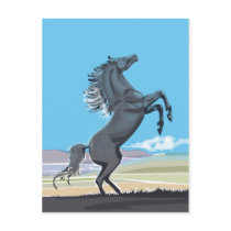 Wild Stallion postcards by tshirtsatfirstsite Wild Stallion postcards