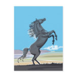 Wild Stallion Postcard
