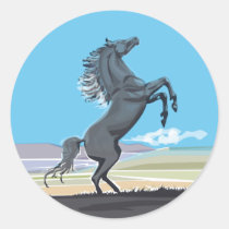 Wild Stallion stickers