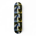 Wild Stallion skateboards
