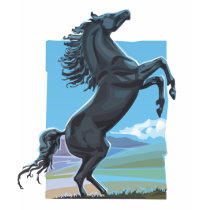 Wild Stallion t-shirts by tshirtsatfirstsite Wild Stallion t-shirts
