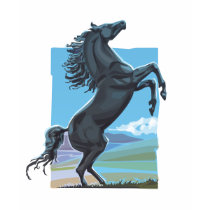 Wild Stallion t-shirts by tshirtsatfirstsite Wild Stallion t-shirts