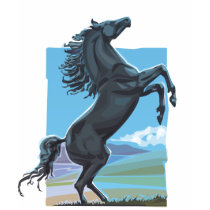 Wild Stallion t-shirts by tshirtsatfirstsite Wild Stallion t-shirts