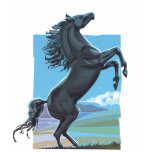 Wild Stallion T Shirt