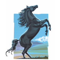 Wild Stallion t-shirts by tshirtsatfirstsite Wild Stallion t-shirts