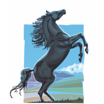 Wild Stallion t-shirts by tshirtsatfirstsite Wild Stallion t-shirts