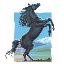 Wild Stallion t-shirts by tshirtsatfirstsite Wild Stallion t-shirts