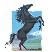 Wild Stallion t-shirts by tshirtsatfirstsite Wild Stallion t-shirts