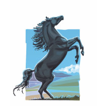 Wild Stallion t-shirts by tshirtsatfirstsite Wild Stallion t-shirts