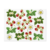 Wild Strawberries Postcard