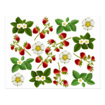 Wild Strawberries Postcard