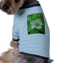 Wild Strawberry Flower pet clothing by lifesphere Wild Strawberry Flower pet clothing