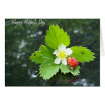 Wild Strawberry Mother's Day Greeting Card