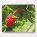 Wild Strawberry mousepads by KLaima Wild Strawberry mousepads