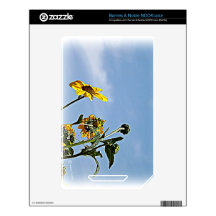 Wild Sunflowers Decal For NOOK Color