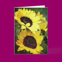 'Wild Sunflowers' Greeting Card