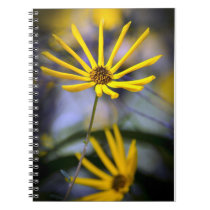 Wild Swamp Daisy Notebook