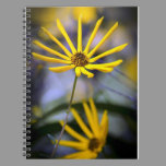 Wild Swamp Daisy Notebook notebooks